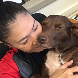 Erin, Raul and Chewy - Owners Pearl City Auto Works